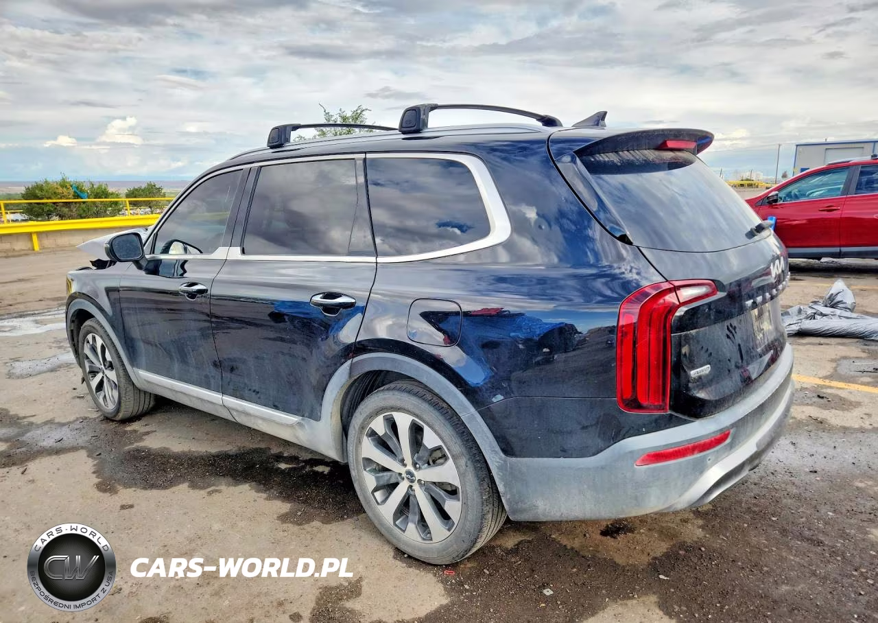 2022 Kia Telluride S VIN:5XYP6DHC3NG228904 - 2