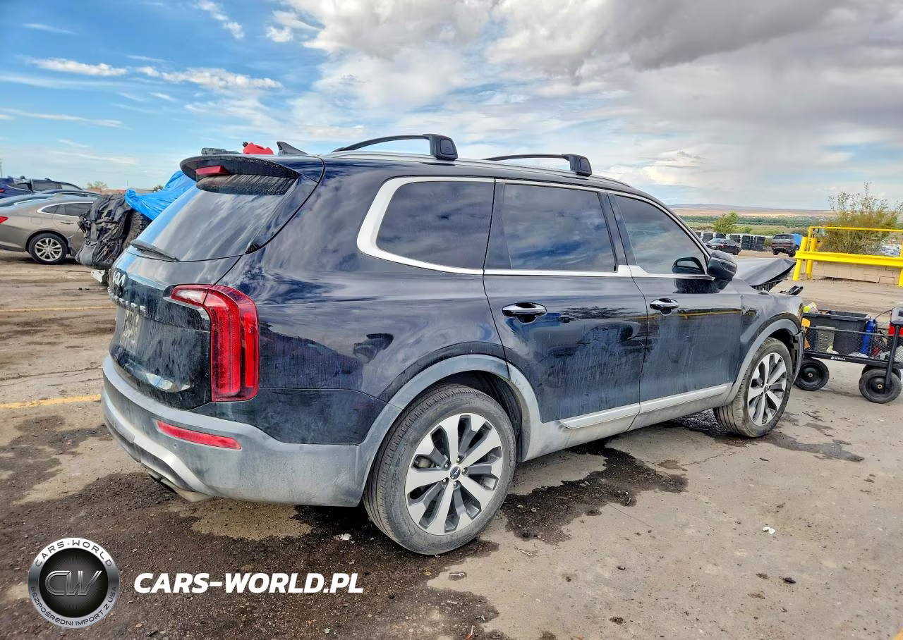2022 Kia Telluride S VIN:5XYP6DHC3NG228904 - 3