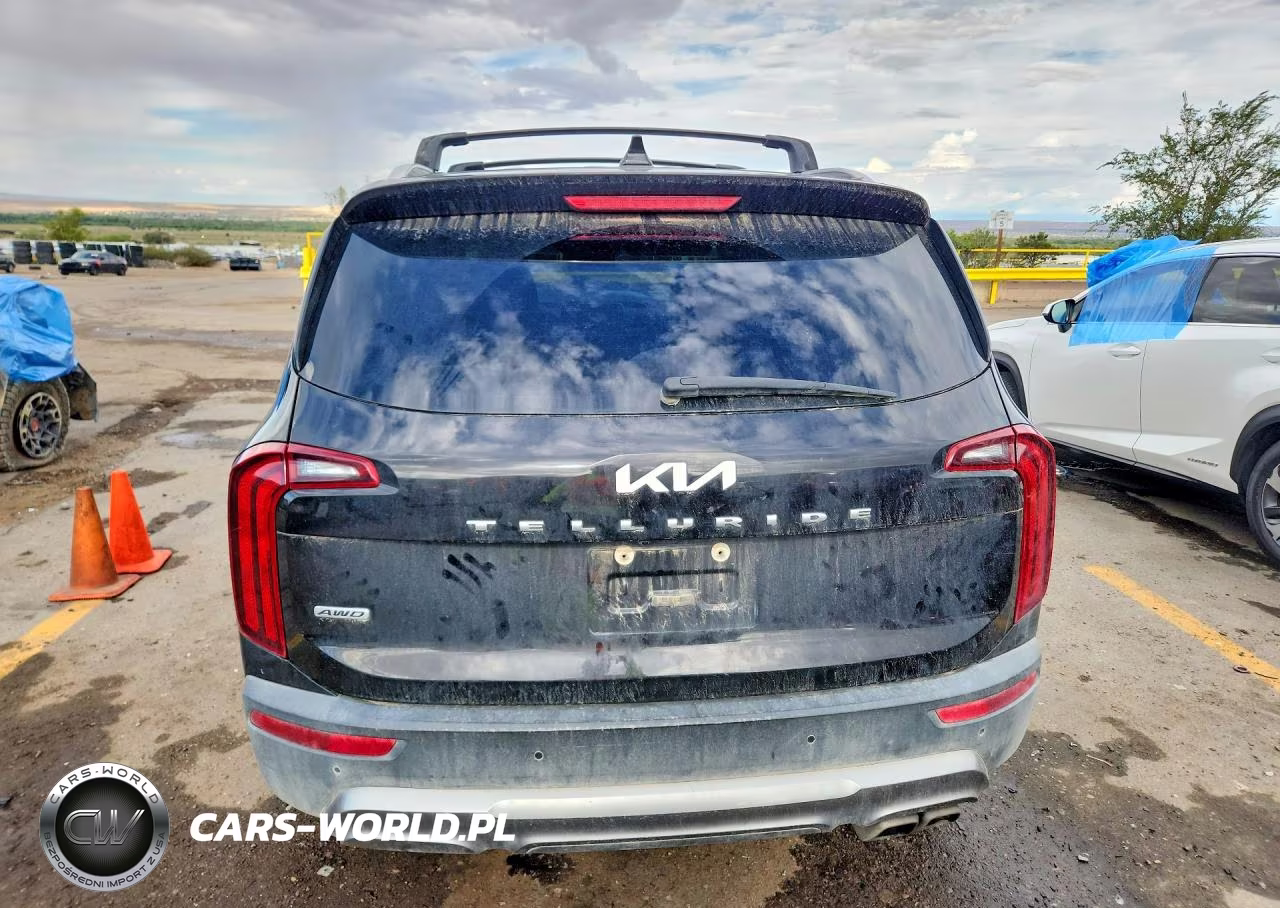 2022 Kia Telluride S VIN:5XYP6DHC3NG228904 - 6