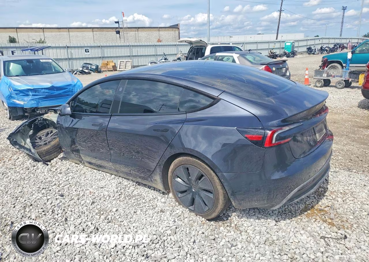 2025 Tesla Model 3 VIN:5YJ3E1EA2SF000804 - 2
