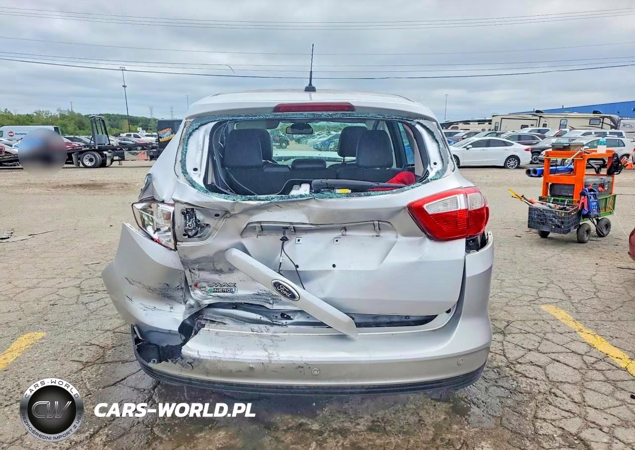 2015 Ford C-Max Premium Sel VIN:1FADP5CUXFL115341 - 6
