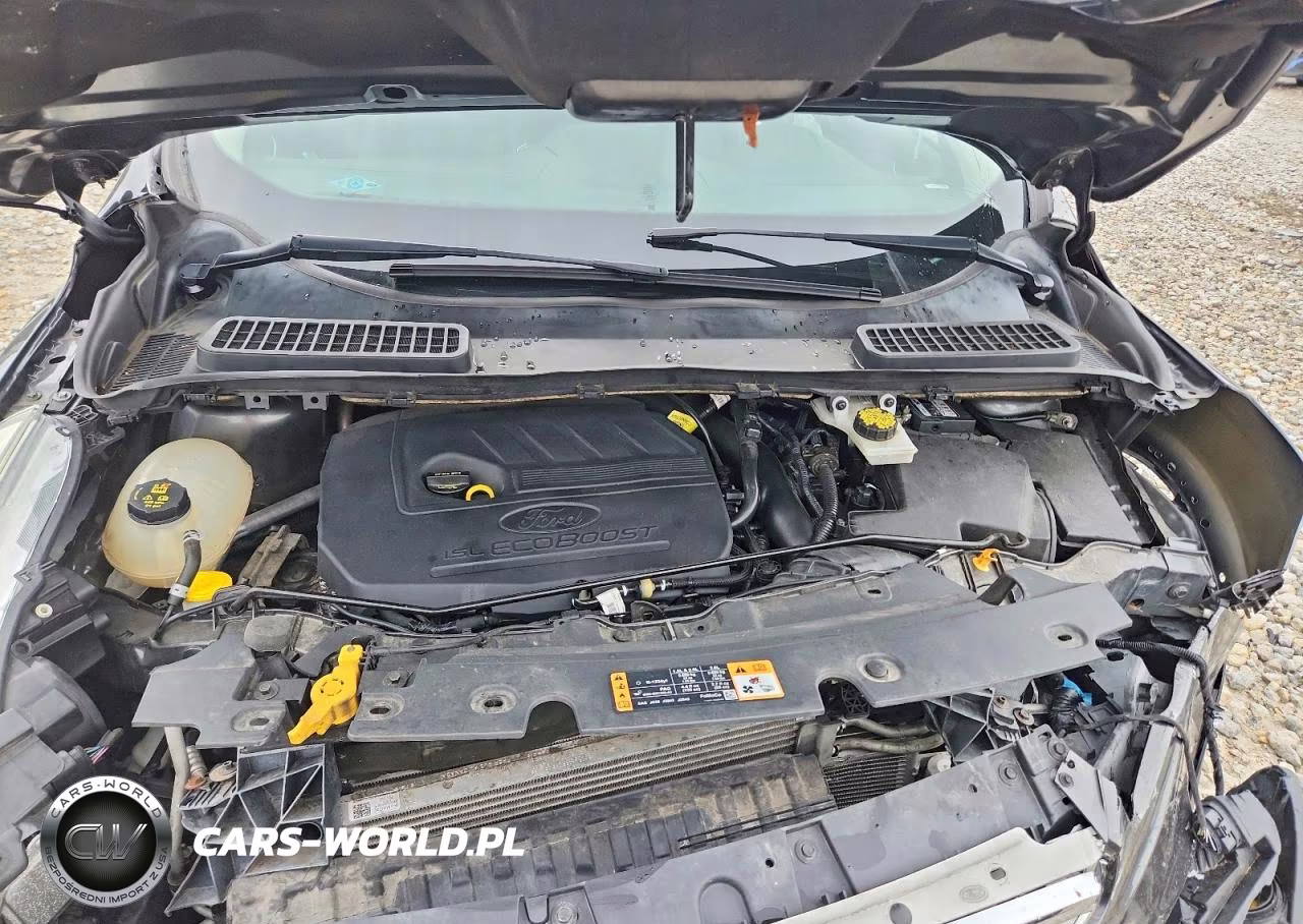 2018 Ford Escape Sel VIN:1FMCU0HD3JUB20812 - 12