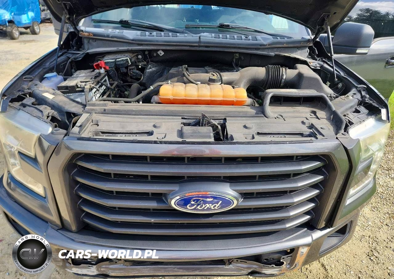 2016 Ford F150 Supercrew VIN:1FTEW1CP0GFC80464 - 11