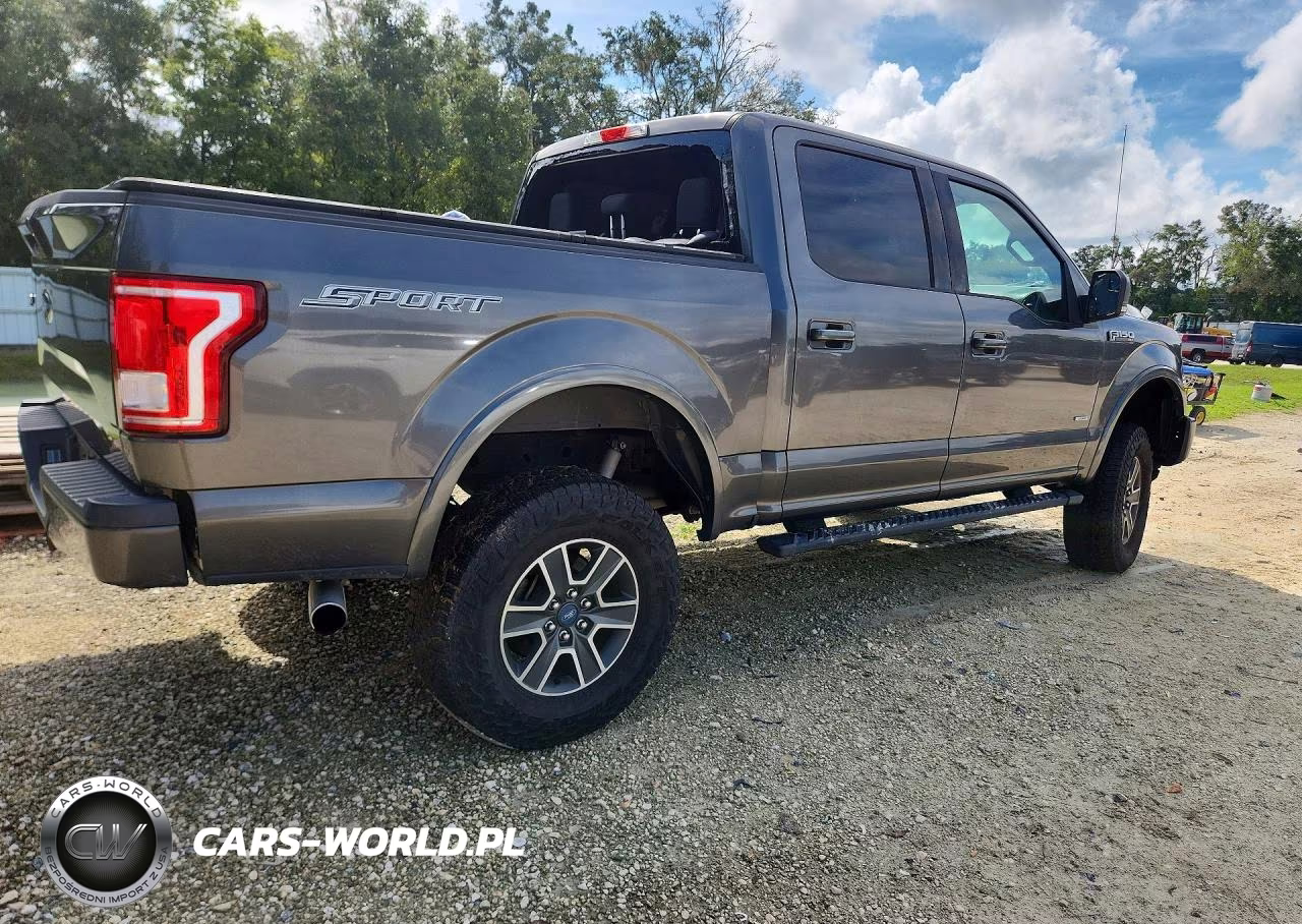 2016 Ford F150 Supercrew VIN:1FTEW1CP0GFC80464 - 3