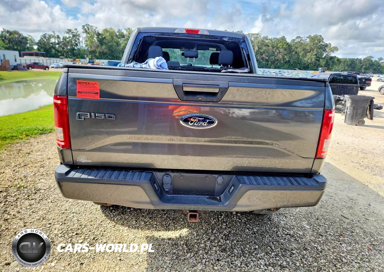 2016 Ford F150 Supercrew VIN:1FTEW1CP0GFC80464 - 6