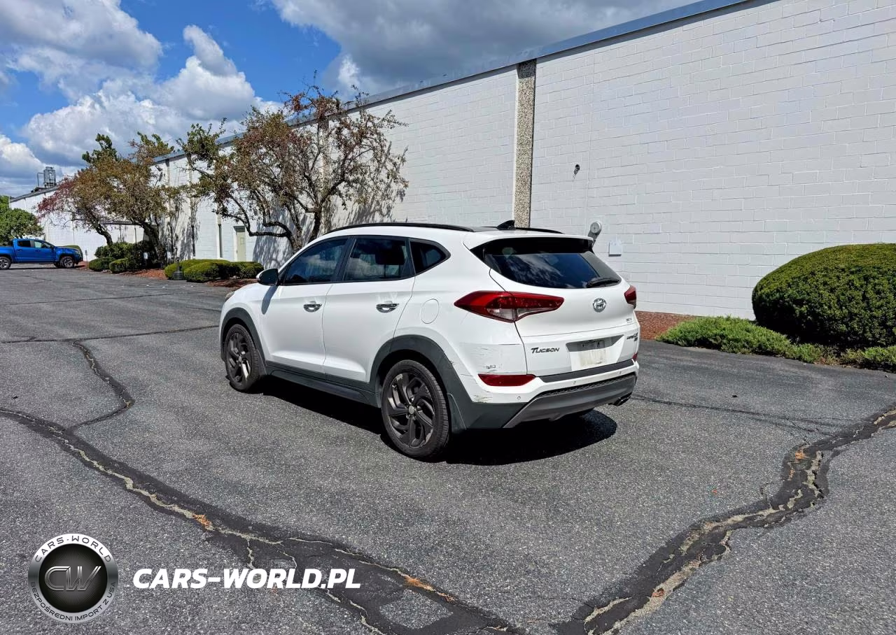 2016 Hyundai Tucson Limited VIN:KM8J3CA22GU109278 - 3