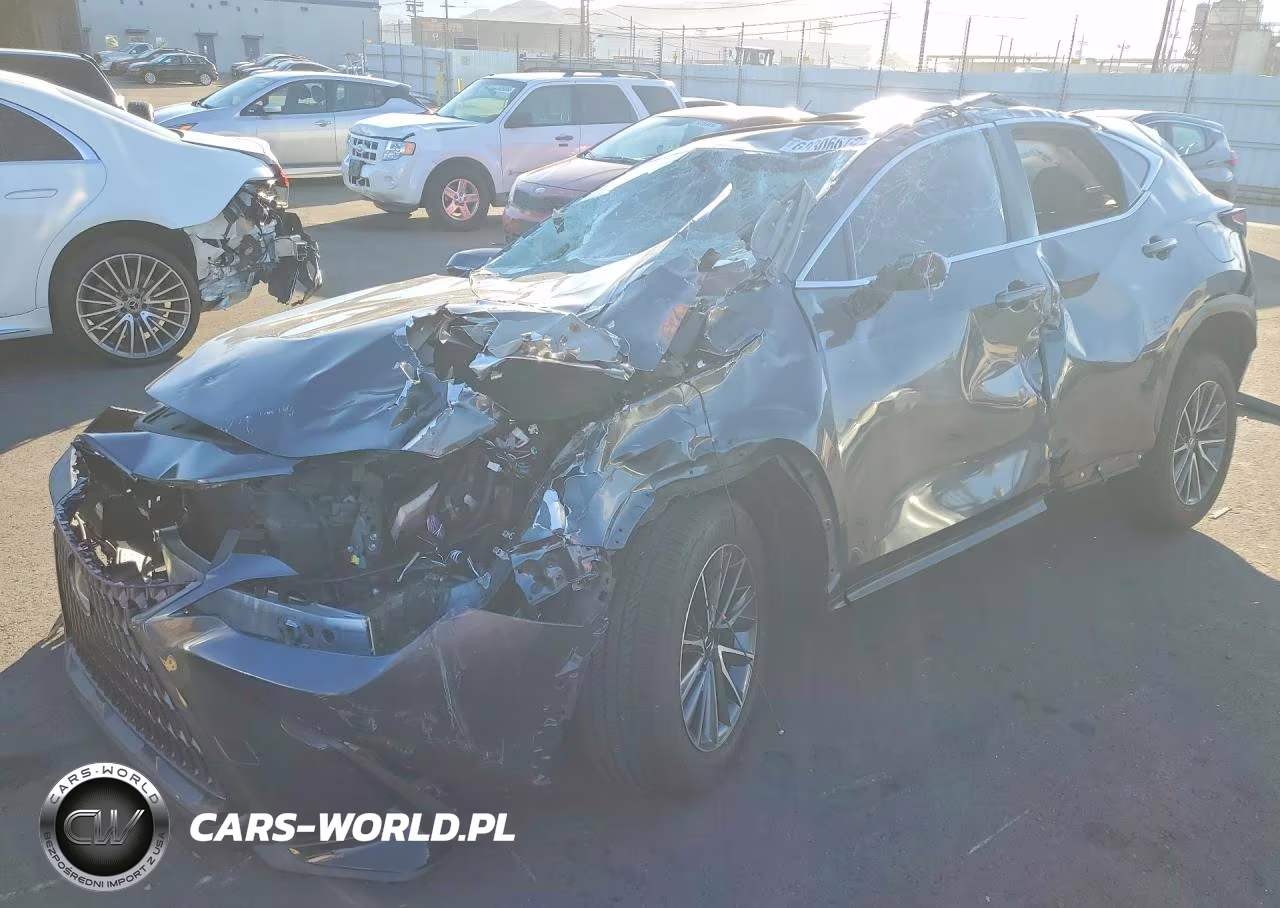 2025 Lexus Nx 350H Premium VIN:JTJGKCEZ3S5033594 - 1
