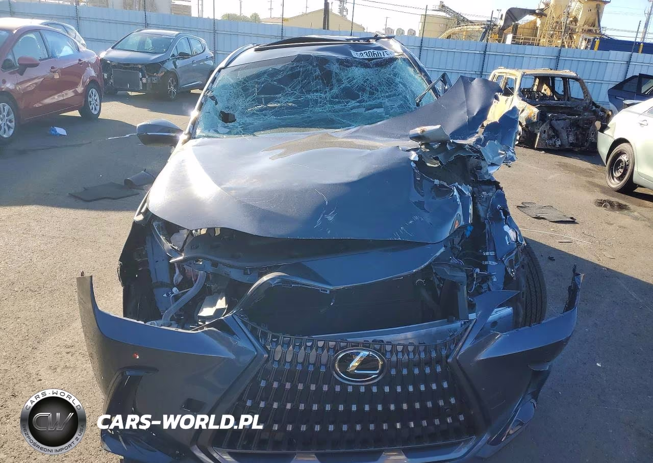 2025 Lexus Nx 350H Premium VIN:JTJGKCEZ3S5033594 - 5
