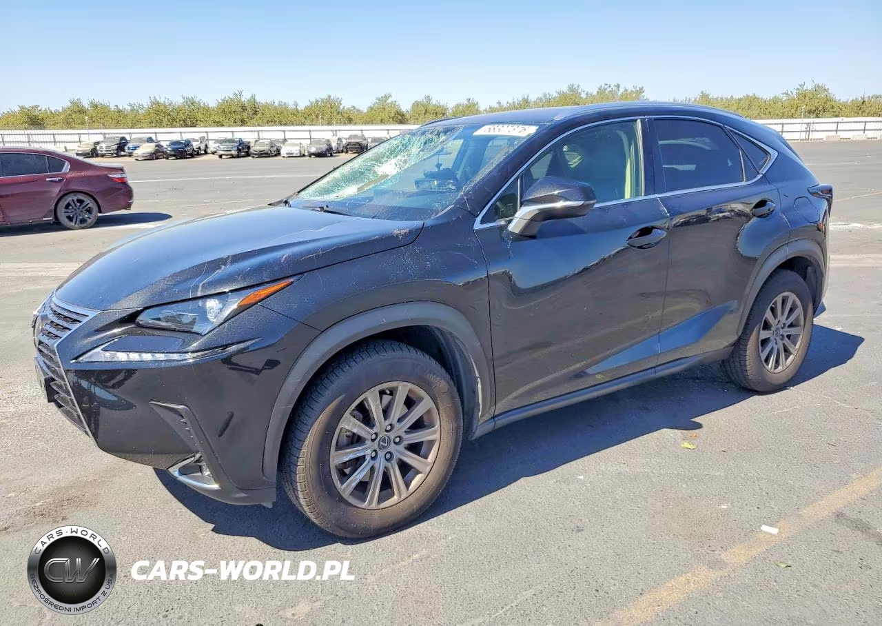 2021 Lexus Nx 300 Base VIN:JTJDARBZ3M2187918 - 1