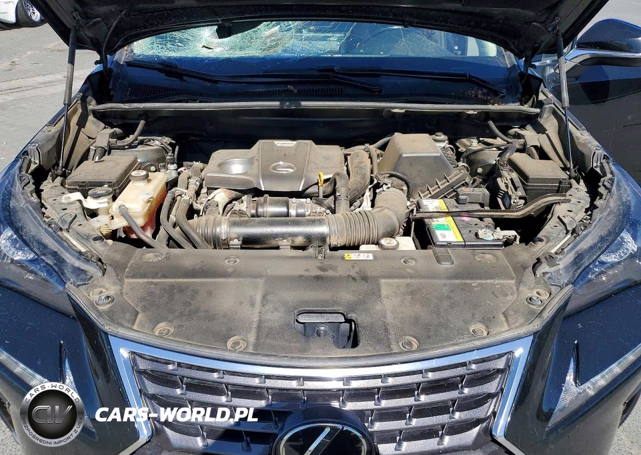 2021 Lexus Nx 300 Base VIN:JTJDARBZ3M2187918 - 12
