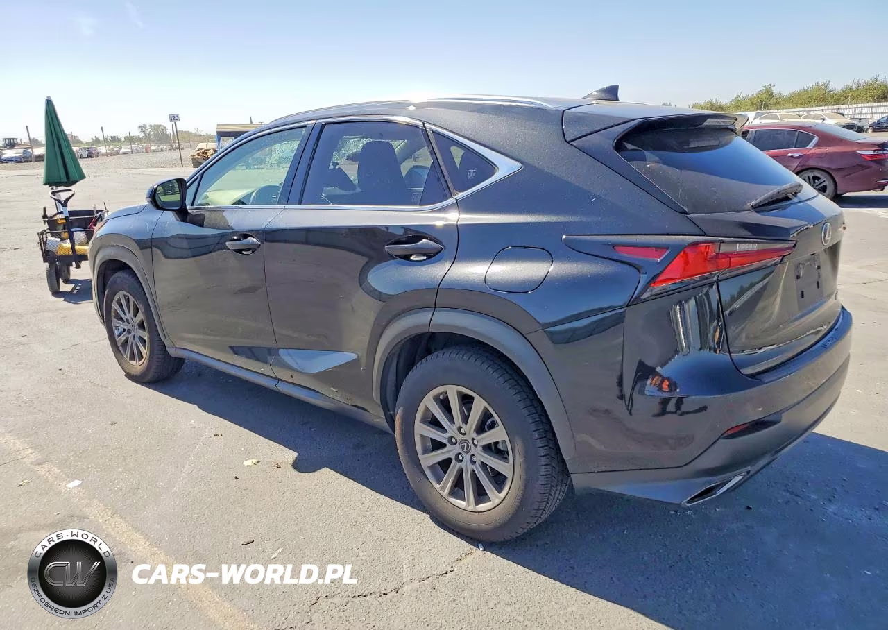 2021 Lexus Nx 300 Base VIN:JTJDARBZ3M2187918 - 2