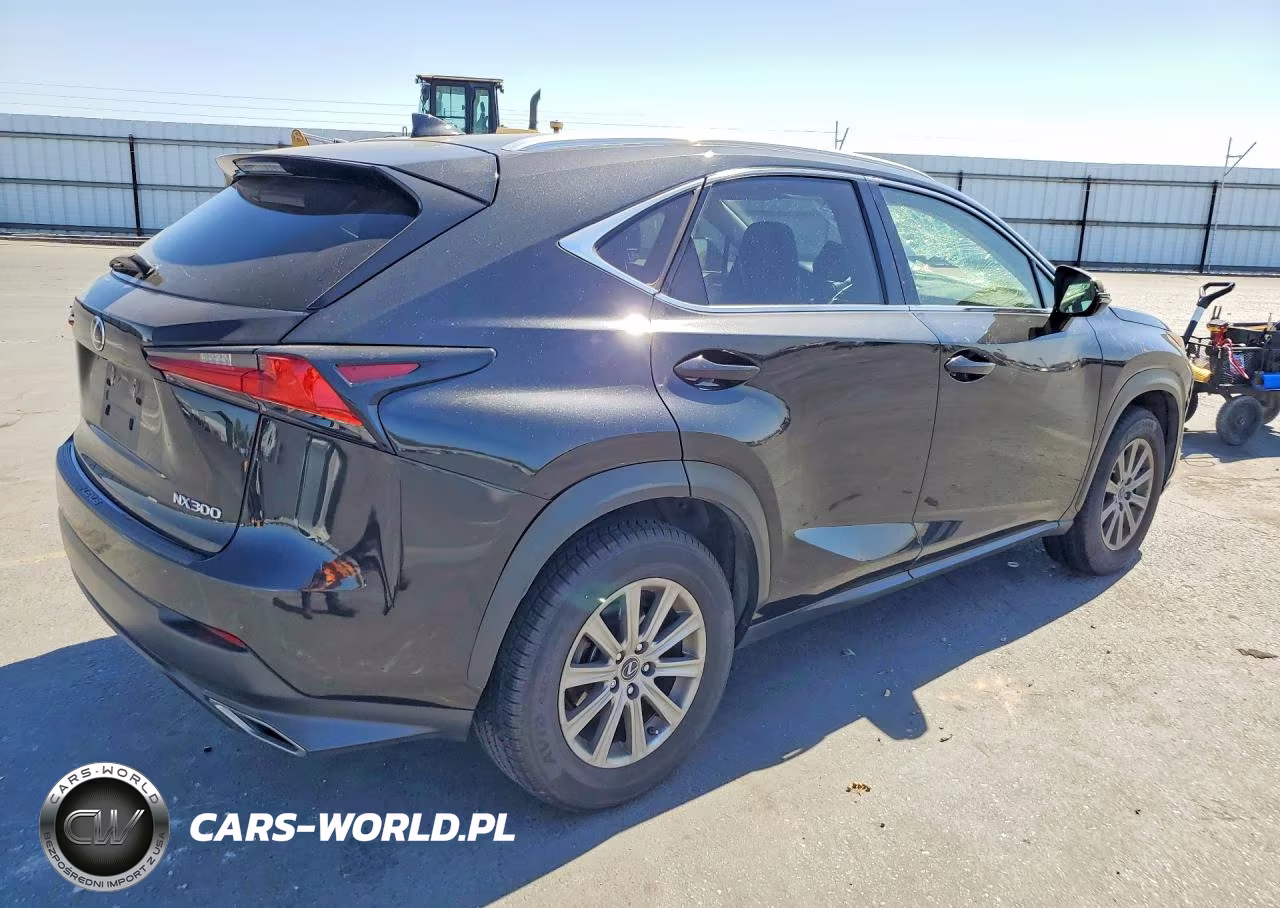 2021 Lexus Nx 300 Base VIN:JTJDARBZ3M2187918 - 3