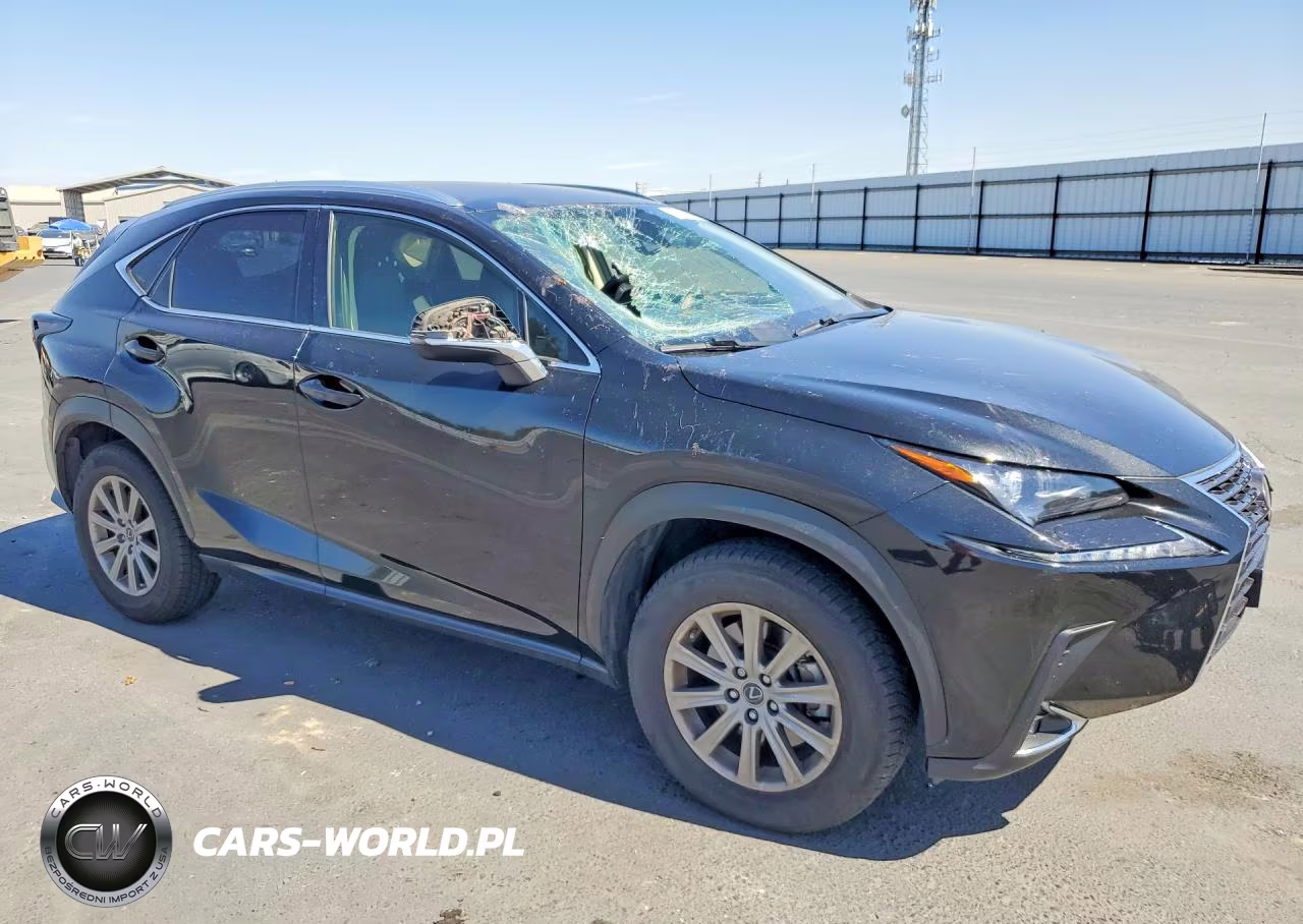2021 Lexus Nx 300 Base VIN:JTJDARBZ3M2187918 - 4