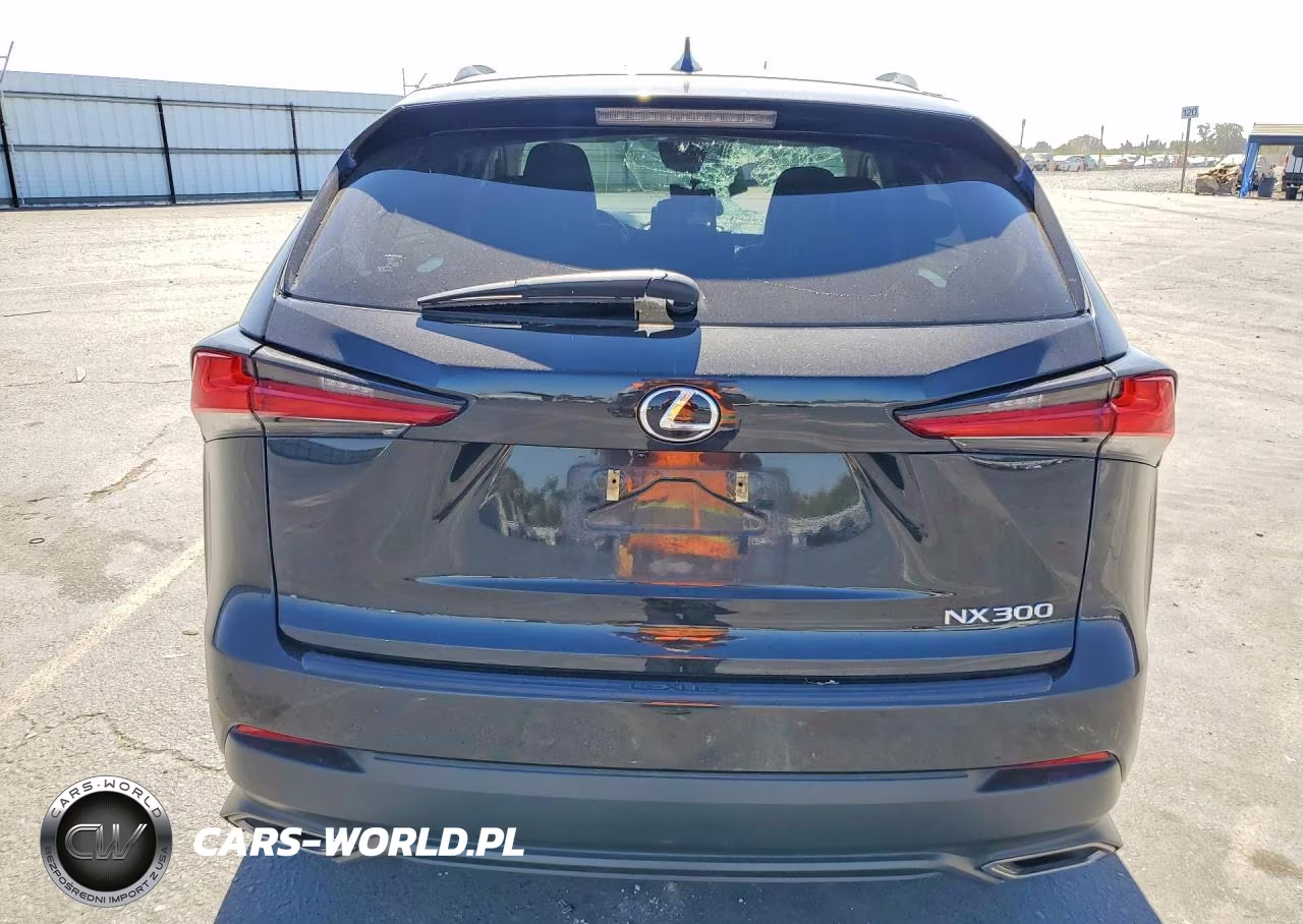 2021 Lexus Nx 300 Base VIN:JTJDARBZ3M2187918 - 6