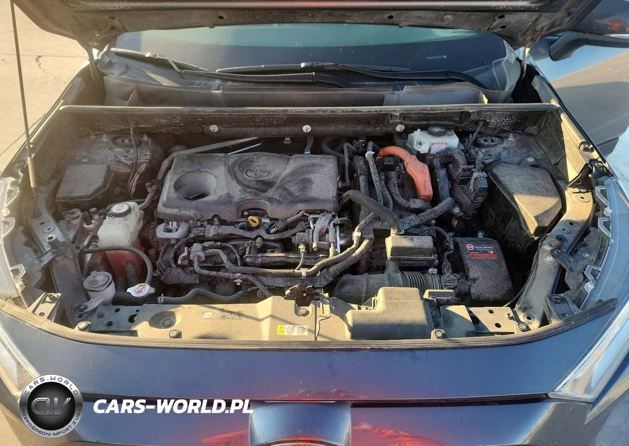 2019 Toyota Rav4 Xse VIN:JTMEWRFV3KD521463 - 12