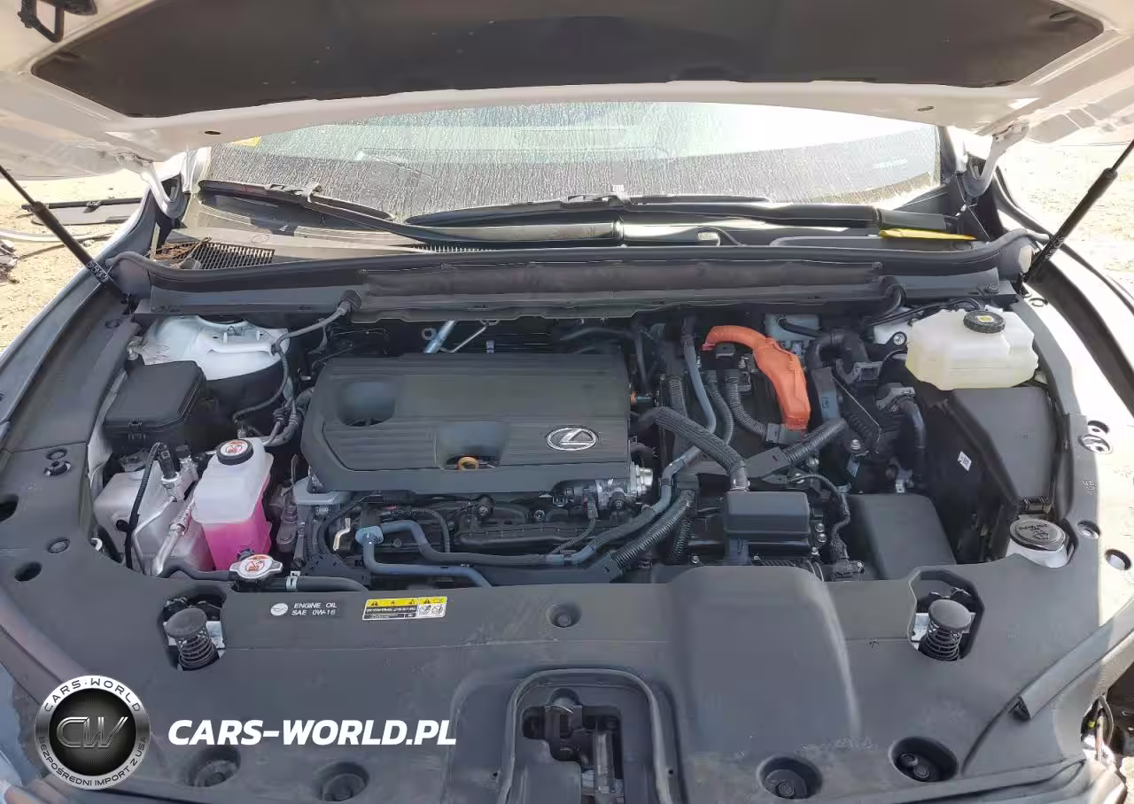 2024 Lexus Rx 350H Base VIN:2T2BBMCA0RC063595 - 12