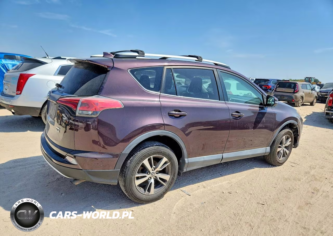 2016 Toyota Rav4 Xle VIN:2T3RFREV3GW442629 - 3