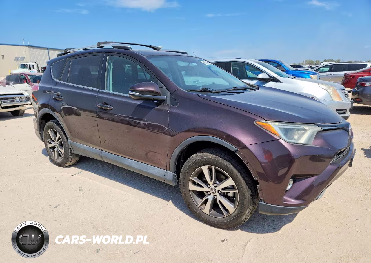 2016 Toyota Rav4 Xle VIN:2T3RFREV3GW442629 - 4
