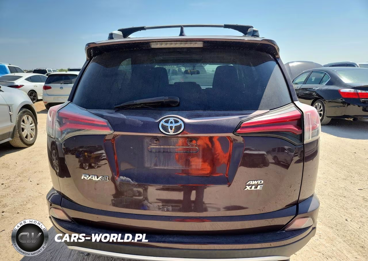 2016 Toyota Rav4 Xle VIN:2T3RFREV3GW442629 - 6