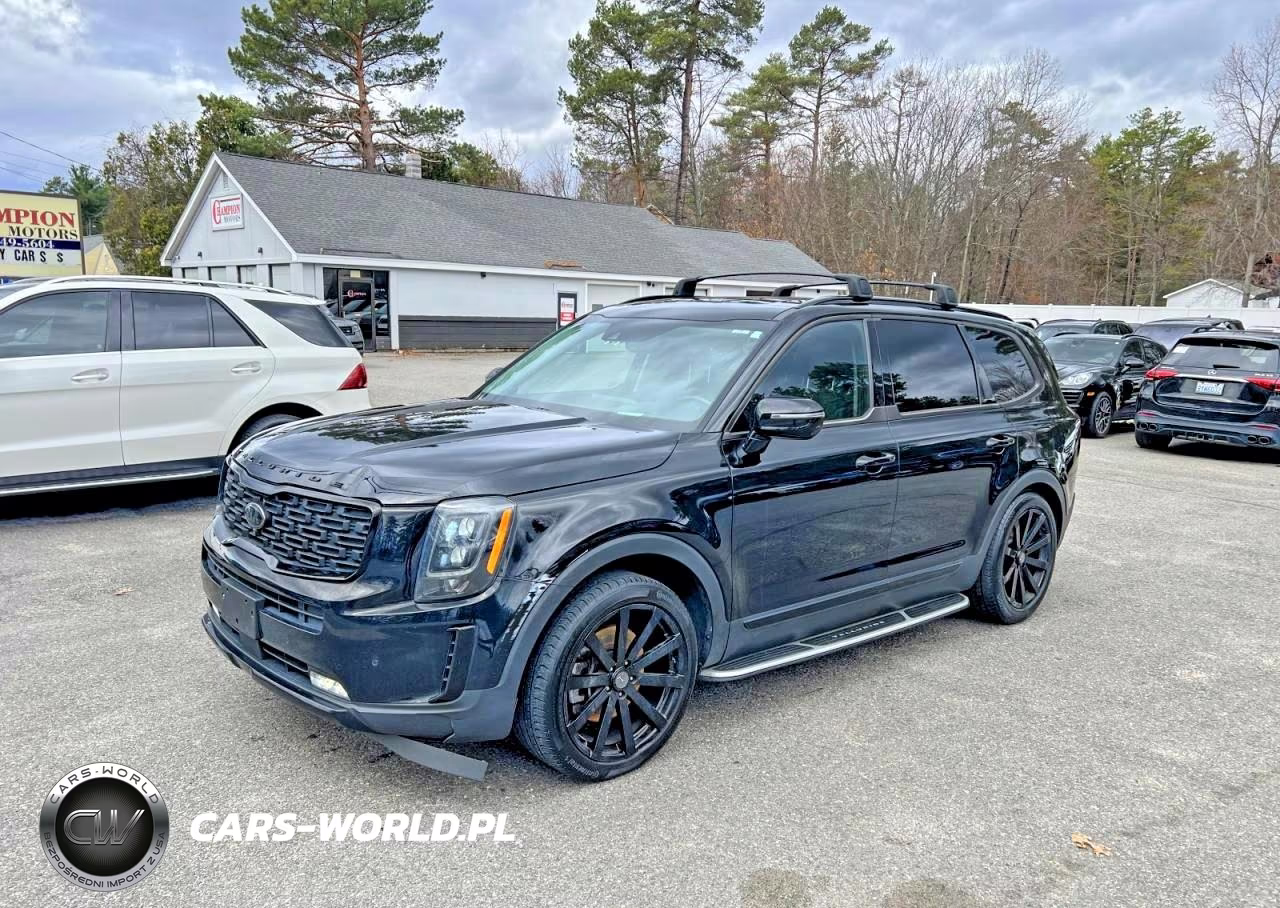 2021 Kia Telluride Sx VIN:5XYP5DHC3MG161769 - 2