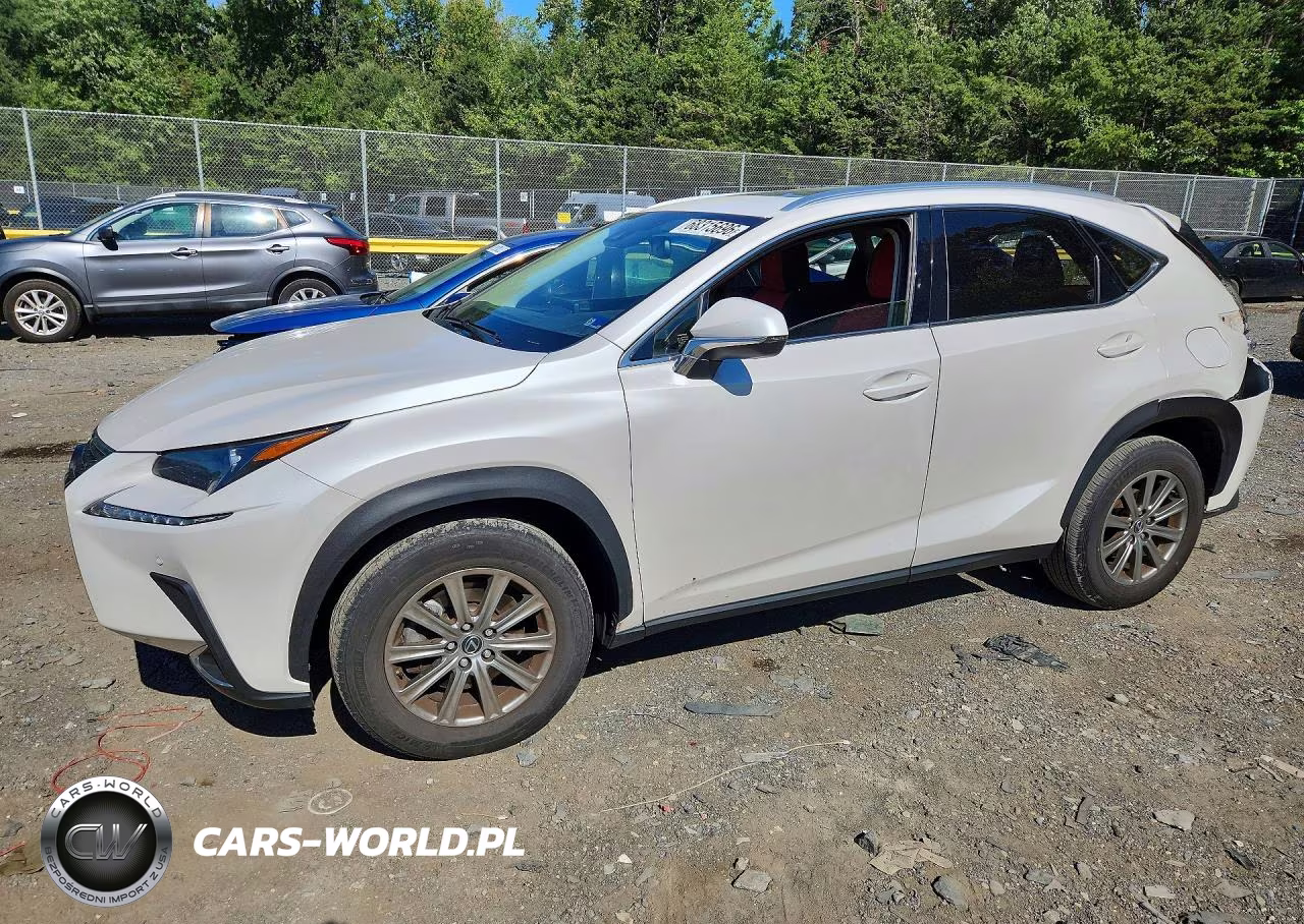 2021 Lexus Nx 300 Base VIN:JTJDARDZ3M5022785 - 1