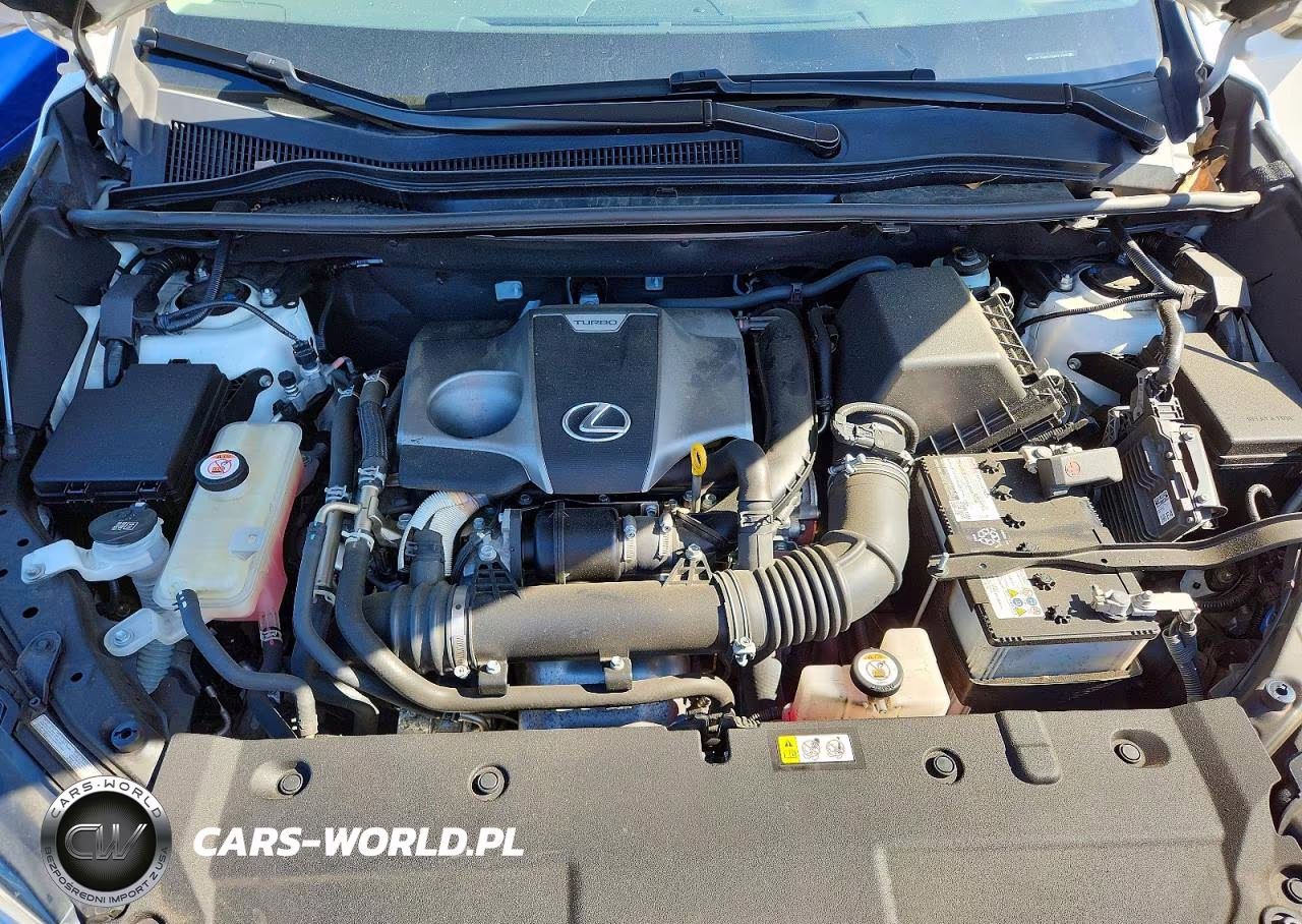 2021 Lexus Nx 300 Base VIN:JTJDARDZ3M5022785 - 12