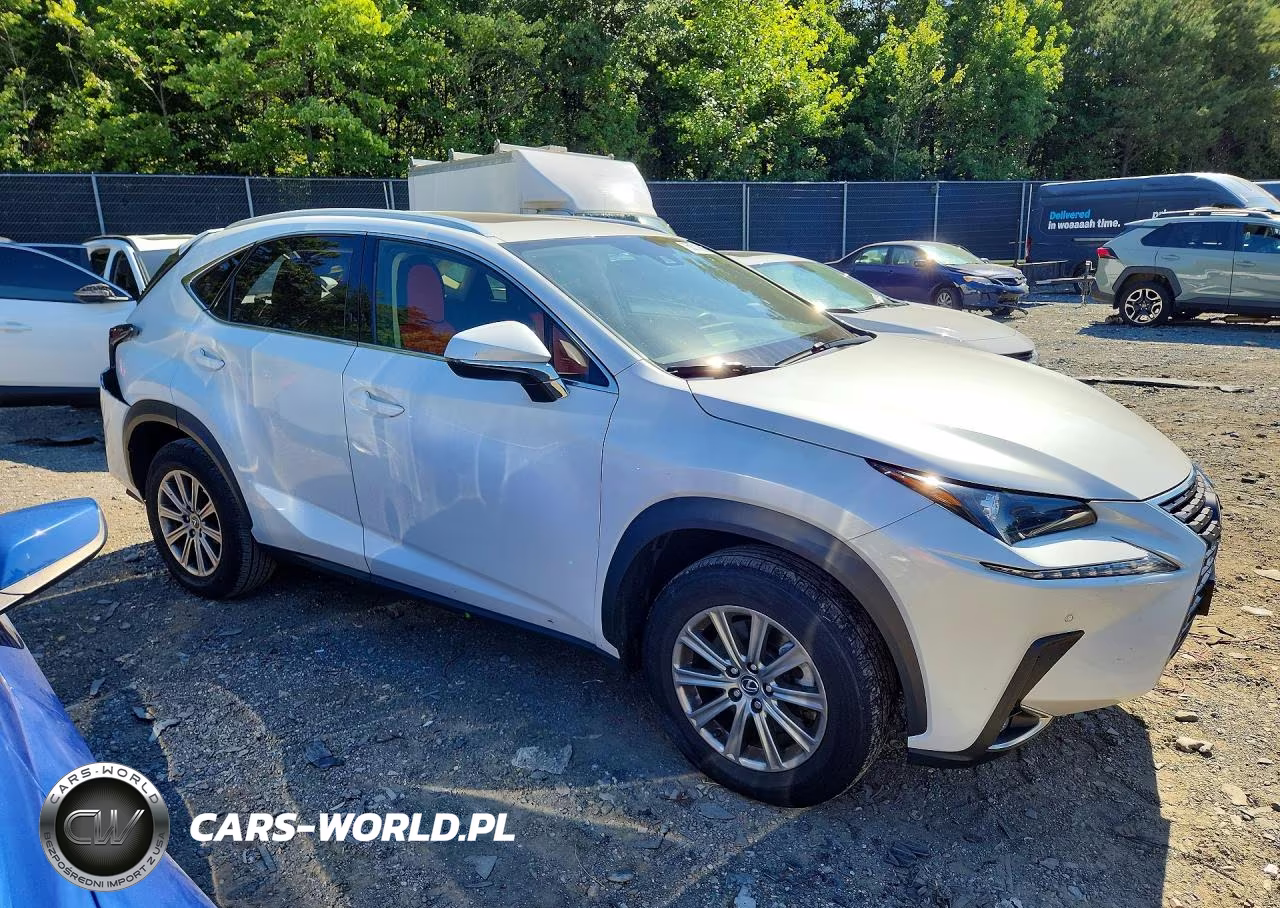 2021 Lexus Nx 300 Base VIN:JTJDARDZ3M5022785 - 4