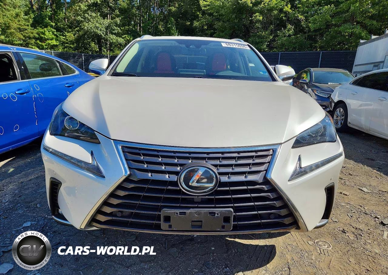 2021 Lexus Nx 300 Base VIN:JTJDARDZ3M5022785 - 5