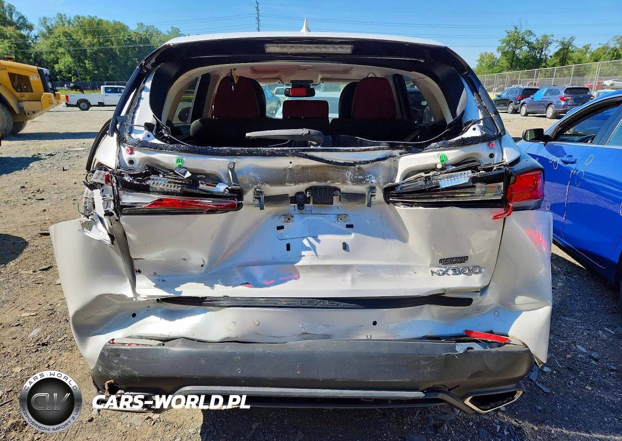 2021 Lexus Nx 300 Base VIN:JTJDARDZ3M5022785 - 6