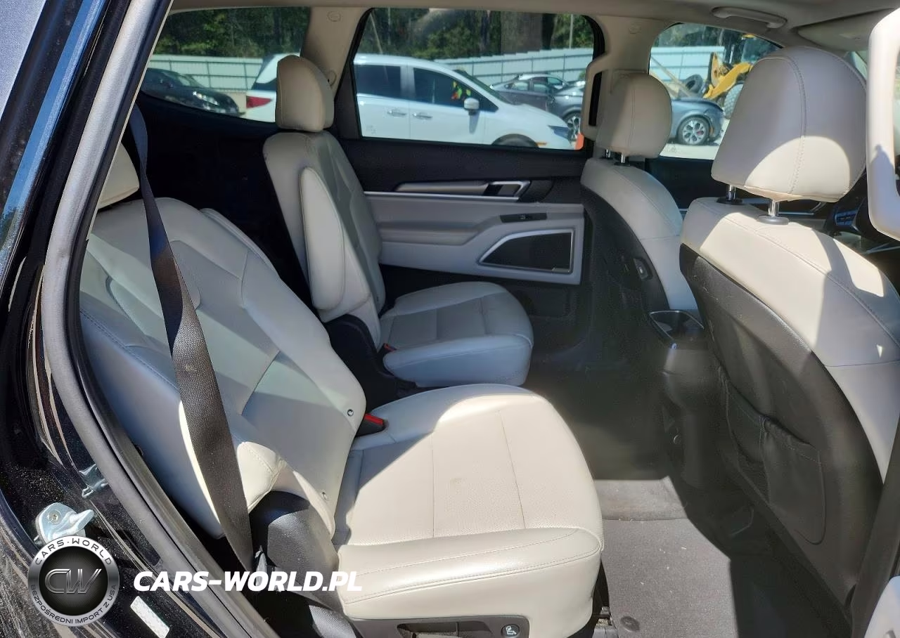 2020 Kia Telluride S VIN:5XYP6DHC8LG004024 - 10
