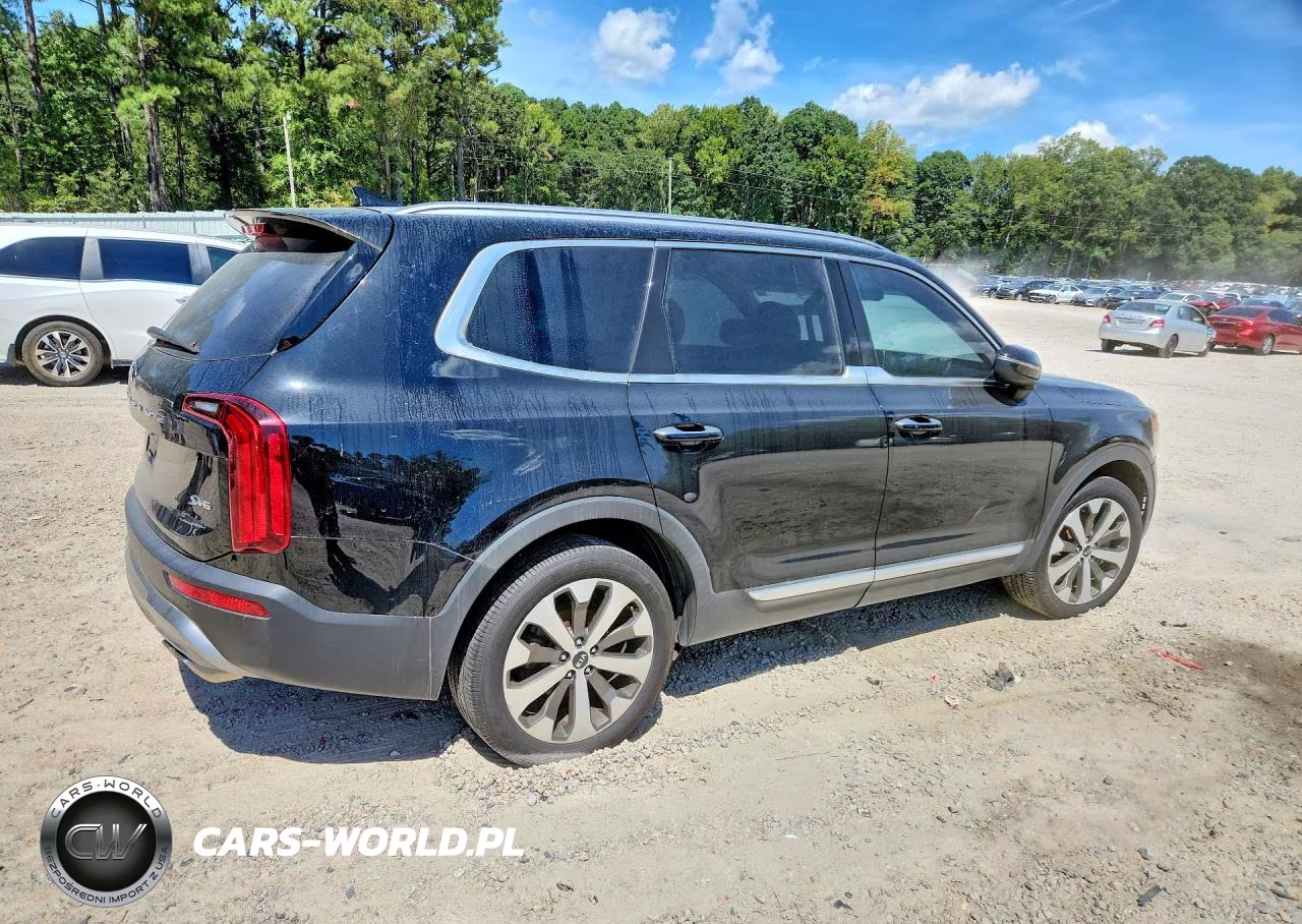2020 Kia Telluride S VIN:5XYP6DHC8LG004024 - 3