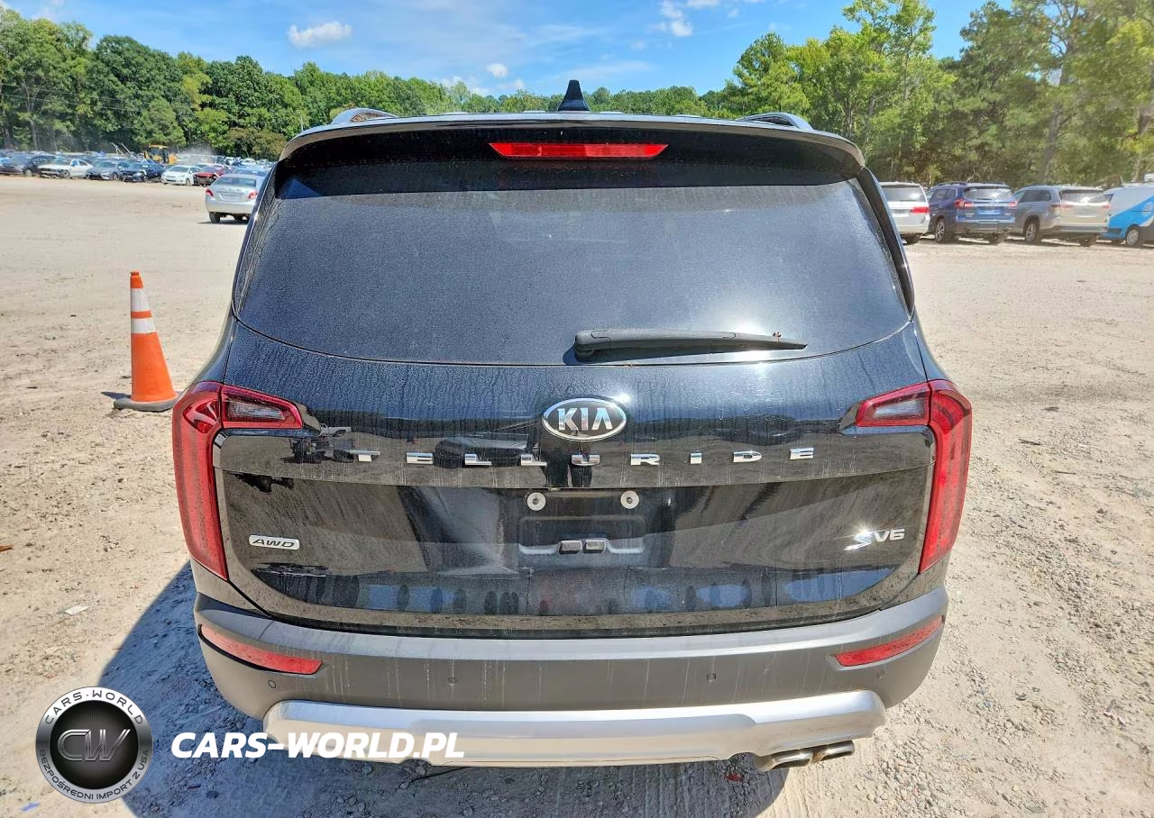 2020 Kia Telluride S VIN:5XYP6DHC8LG004024 - 6