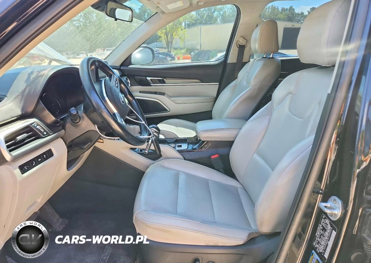 2020 Kia Telluride S VIN:5XYP6DHC8LG004024 - 7