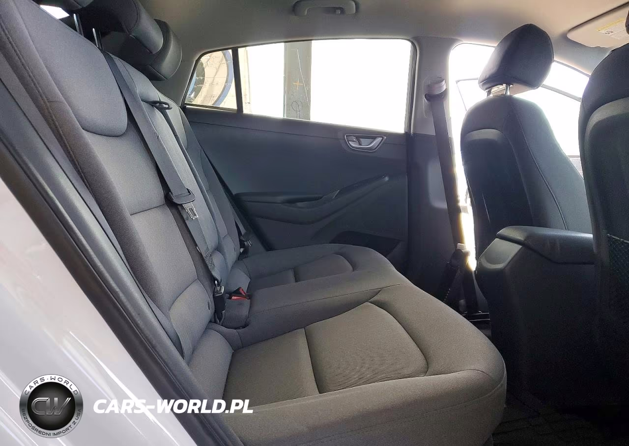 2020 Hyundai Ioniq Se VIN:KMHC65LD4LU214196 - 10