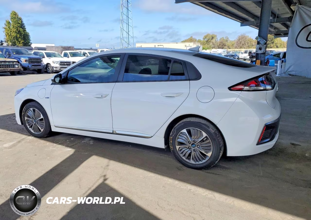 2020 Hyundai Ioniq Se VIN:KMHC65LD4LU214196 - 2