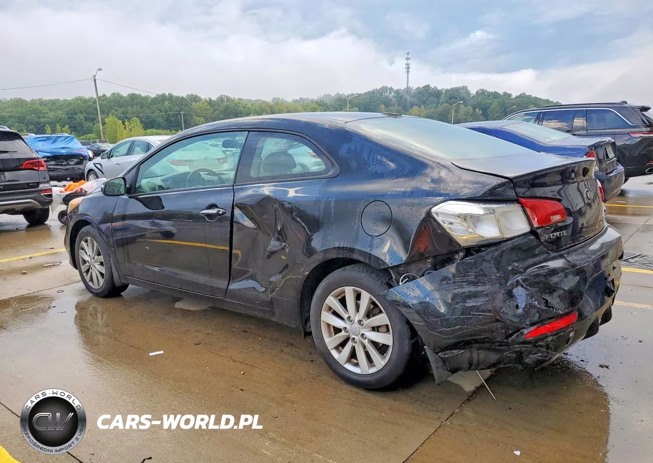 2014 Kia Forte Koup Ex VIN:KNAFX6A83E5192843 - 2