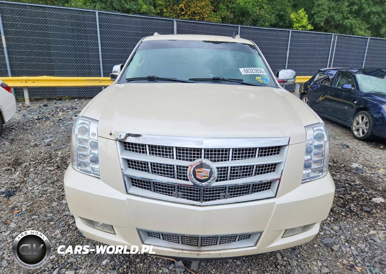 2013 Cadillac Escalade Esv Platinum VIN:1GYS4KEF2DR235565 - 5