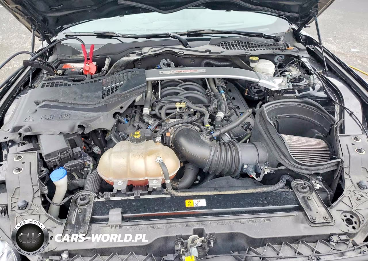2019 Ford Mustang Shelby Gt350 VIN:1FA6P8JZ8K5552276 - 11