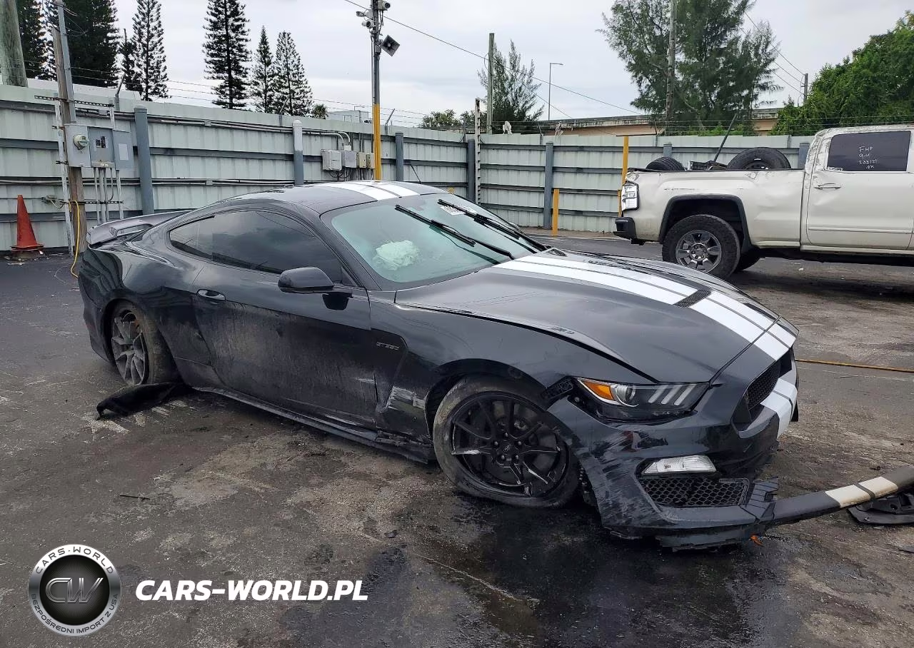 2019 Ford Mustang Shelby Gt350 VIN:1FA6P8JZ8K5552276 - 4