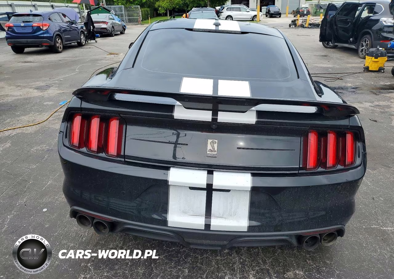 2019 Ford Mustang Shelby Gt350 VIN:1FA6P8JZ8K5552276 - 6