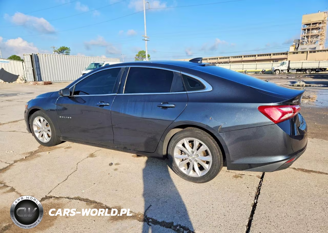 2019 Chevrolet Malibu Lt VIN:1G1ZD5ST2KF109732 - 2