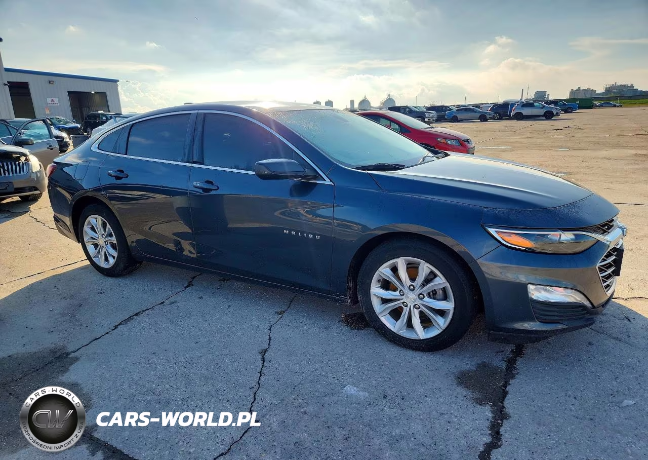2019 Chevrolet Malibu Lt VIN:1G1ZD5ST2KF109732 - 4
