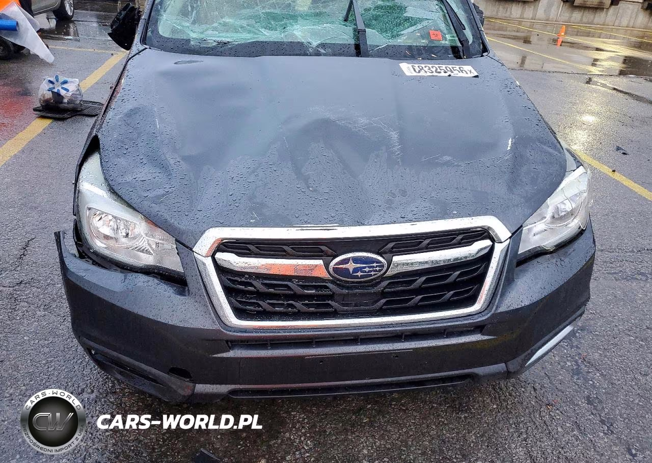 2017 Subaru Forester 2.5I Premium VIN:JF2SJAGC0HH572809 - 12