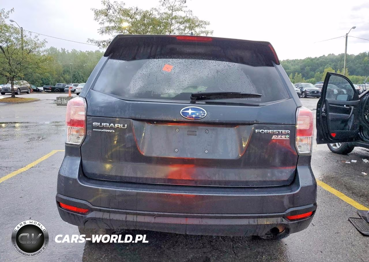 2017 Subaru Forester 2.5I Premium VIN:JF2SJAGC0HH572809 - 6