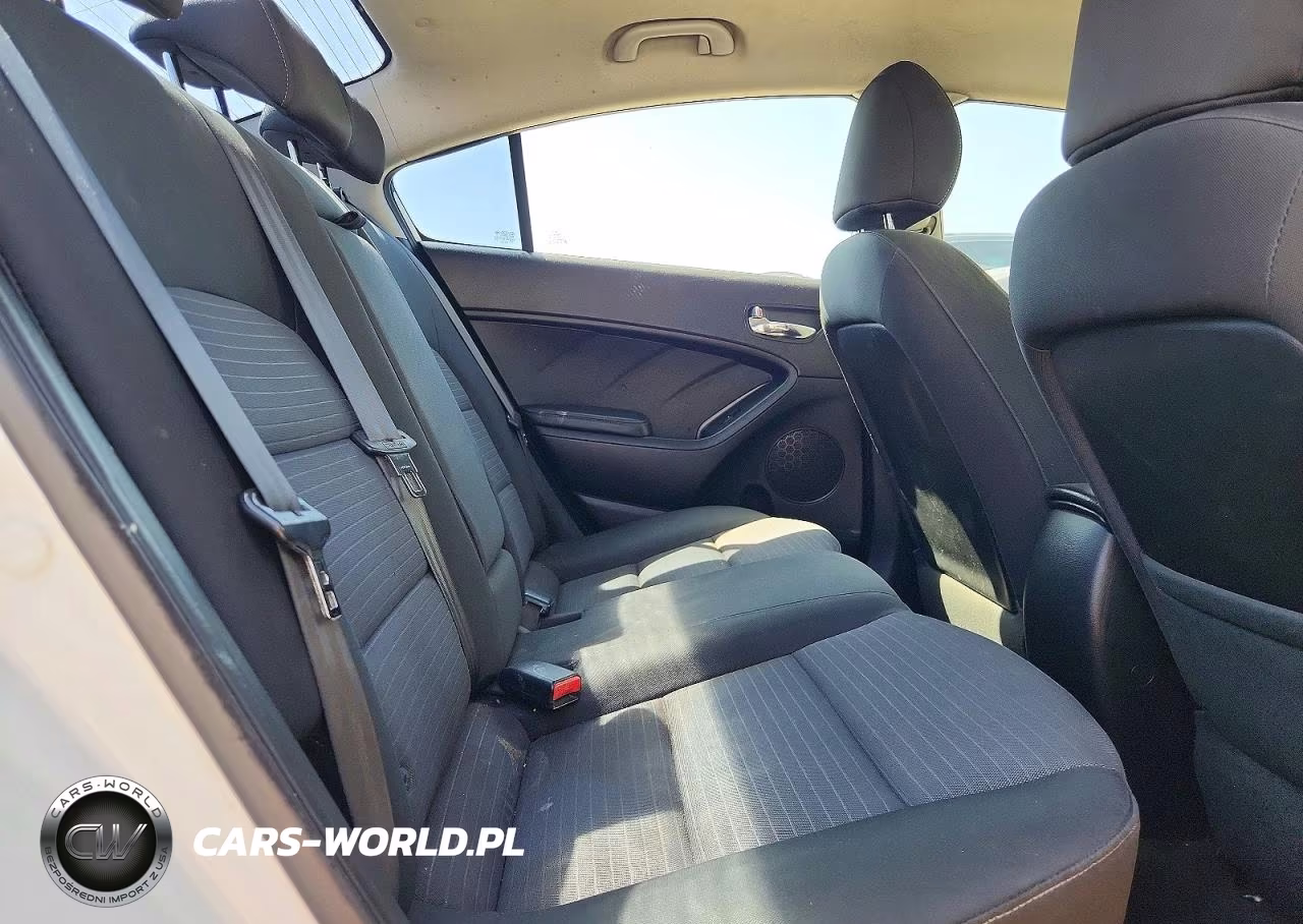 2016 Kia Forte Lx VIN:KNAFX4A62G5554117 - 10