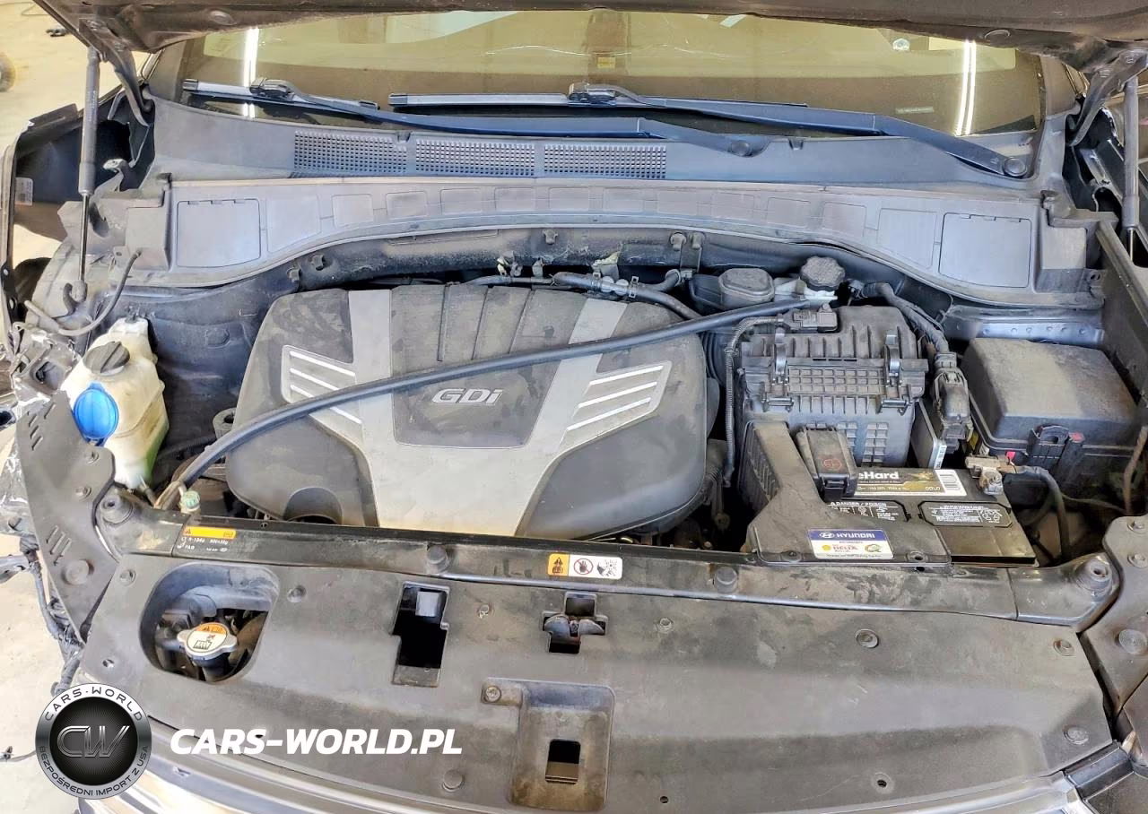 2017 Hyundai Santa Fe Se Ultimate VIN:KM8SR4HF4HU168495 - 12