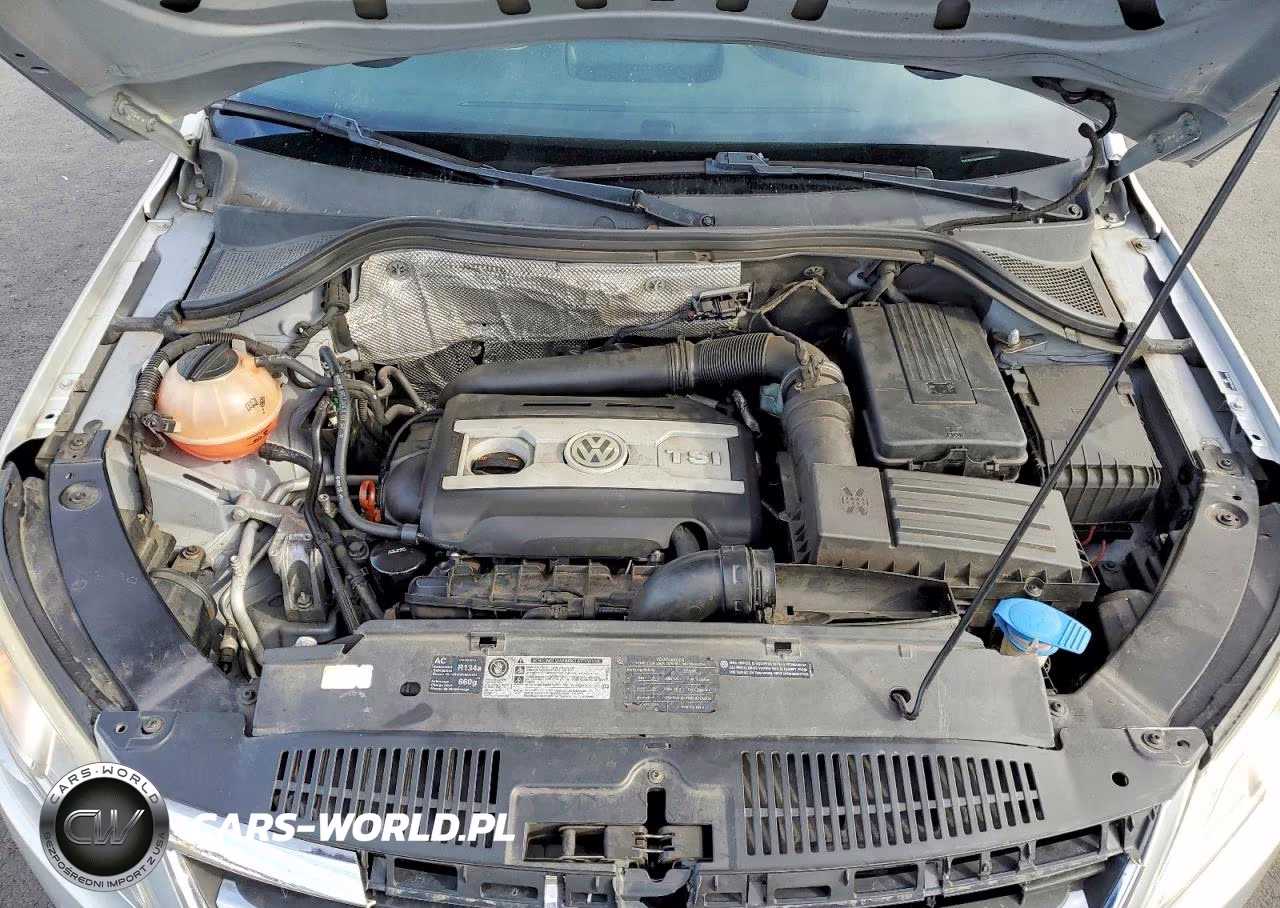 2011 Volkswagen Tiguan S VIN:WVGBV7AX9BW538531 - 11