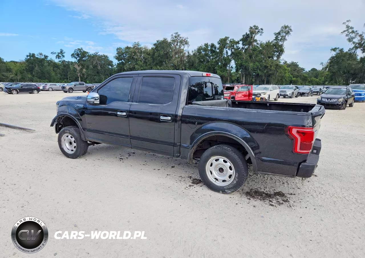2015 Ford F150 Supercrew VIN:1FTEW1EG8FKE73593 - 2