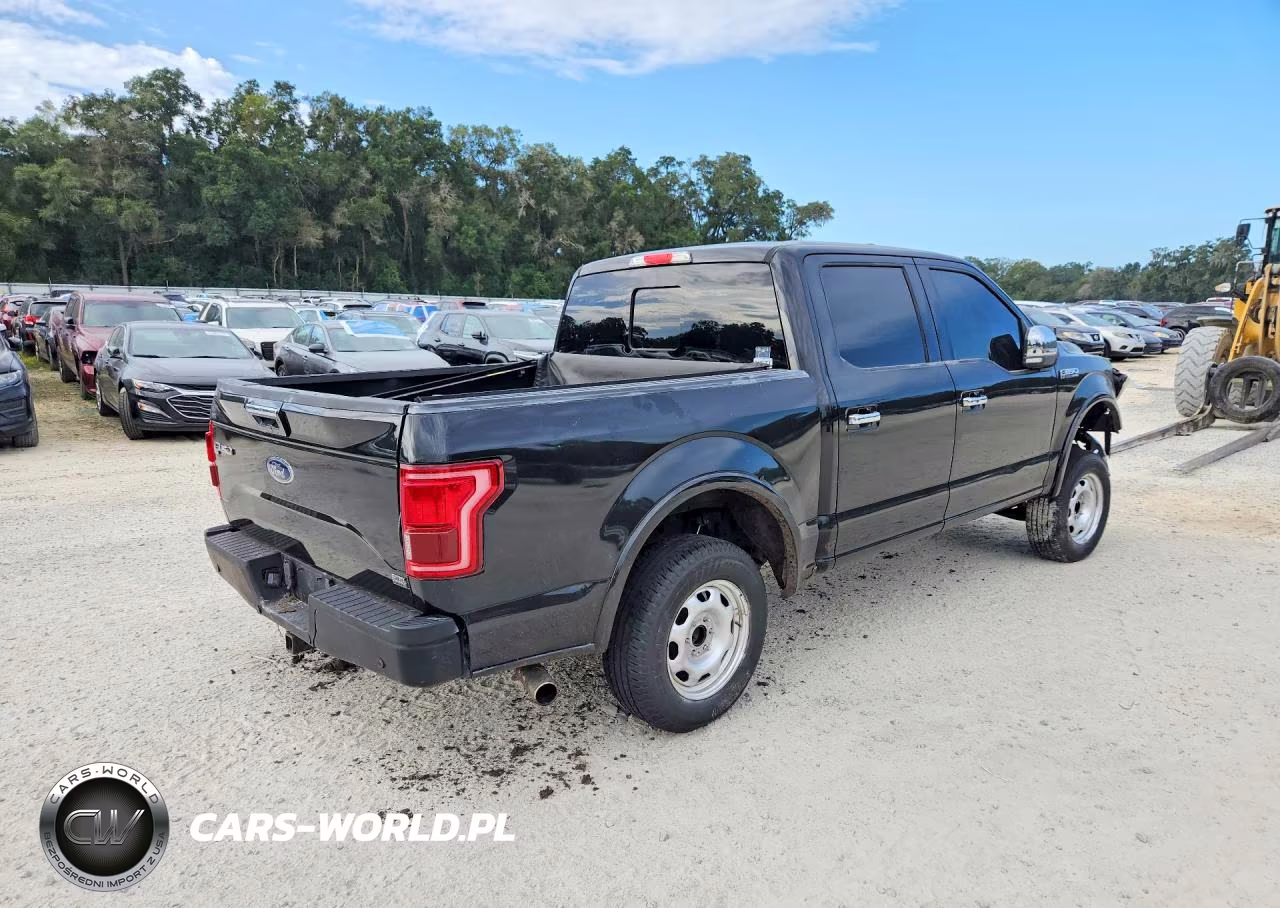 2015 Ford F150 Supercrew VIN:1FTEW1EG8FKE73593 - 3