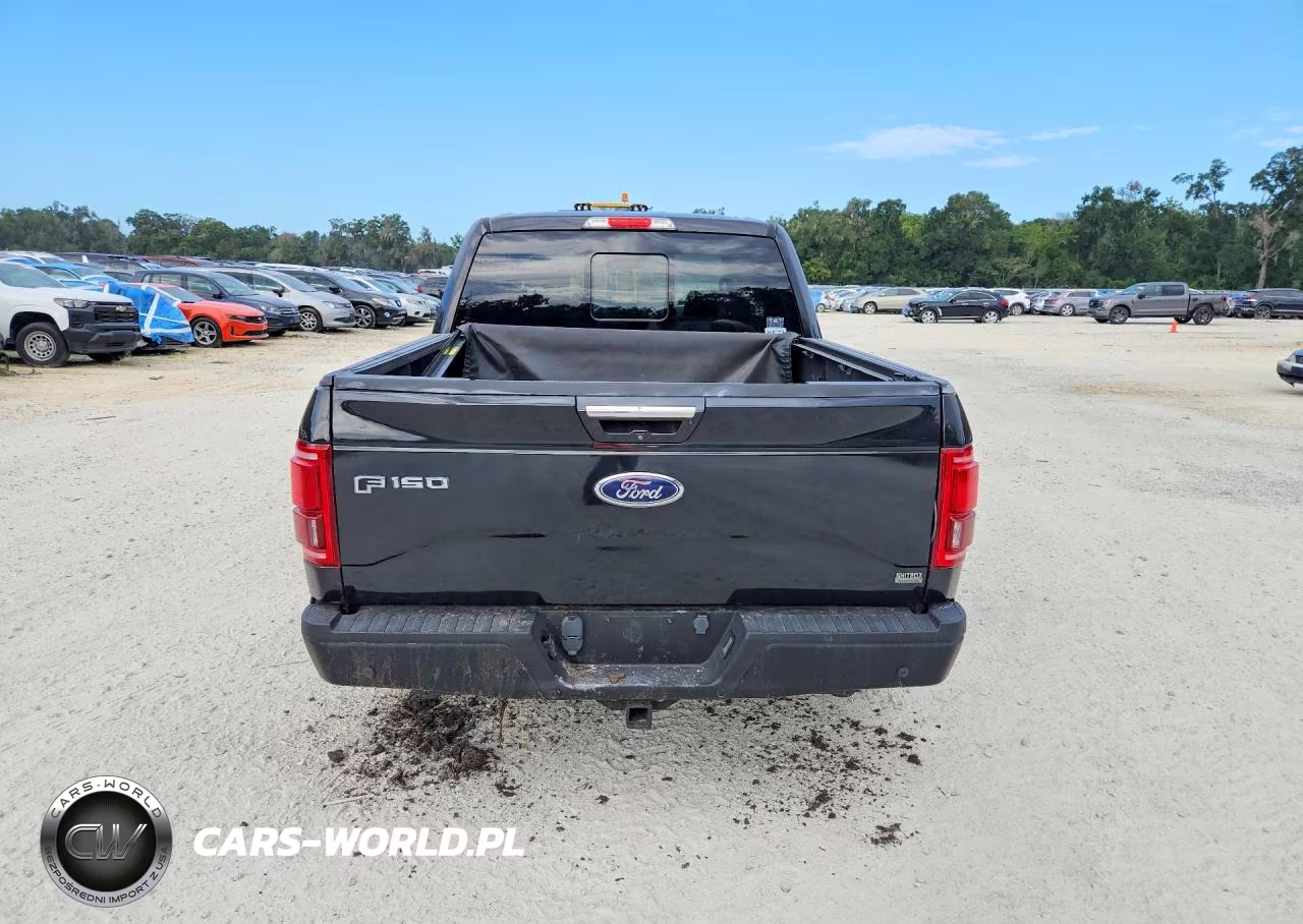 2015 Ford F150 Supercrew VIN:1FTEW1EG8FKE73593 - 6